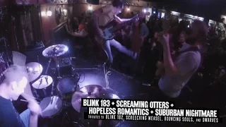 blink -182 - Enema of the State (live album cover)