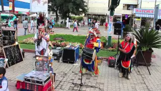 ЭКЗОТИКА на улицах СОЛНЕЧНОГО БЕРЕГА. Болгария.