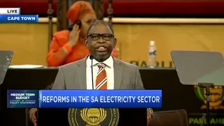 SA Finance Minister Enoch Godongwana delivers medium-term budget speech