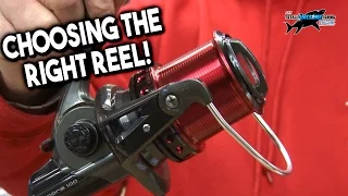 Choosing the Best Fixed Spool Spinning Reel for Beach Fishing | TAFishing