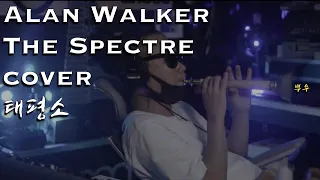 Alan Walker [The Spectre] cover