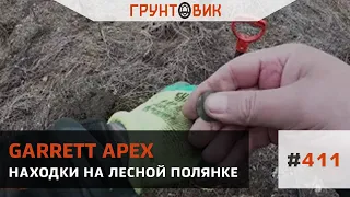 #411 Находки на лесной полянке. Коп с Garrett Apex