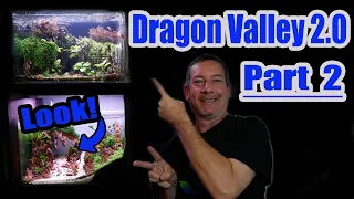 Dragon Valley 2.0 - Part 2 - PLANTING (+ 4 Week Update) | Perfect progress!