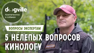 5 Нелепых вопросов - КИНОЛОГУ