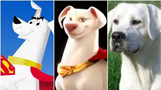 Evolution of "Krypto" in Cartoons,Shows, and Movies. (1966-2022) (DC comics)