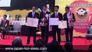 Japan Koi Siess - All Japan Koi Show - Shinkokai 7 - Siegerehrung