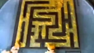 Slime Mold Physarum Finds the Shortest Path in a Maze