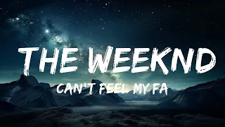 can't feel my face - the weeknd (sped up)  | 1 Hour Loop