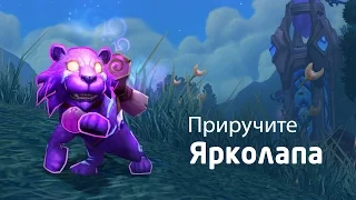 Новый питомец в World of Warcraft — Ярколап (RU)