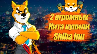 2 ОГРОМНЫХ КИТА СКУПАЮТ SHIBA INU/ ОЖИДАЕМОЕ РАЛЛИ НА 900% РОСТА