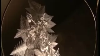 ice crystals and supercooled water