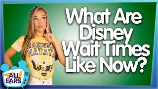 What Are Wait Times Like in Disney World Now That The Parks are Reopened?