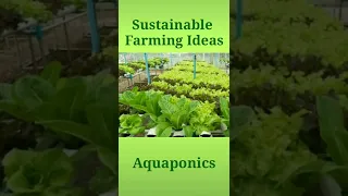 5 Most Sustainable Farming Ideas