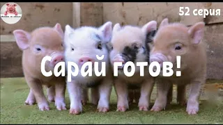 Миллион на свиньях.Закончили реконструкцию сарая.Полы в сарае.