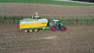 Mais Hakselen | Chopping Mais | Loonbedrijf Keulers | The Netherlands