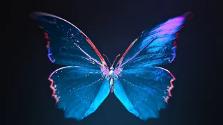 Butterfly - Hologram Live Wallpaper, 1 Hour Looping Background