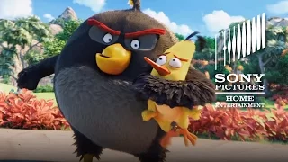 THE ANGRY BIRDS MOVIE: Available on Digital July 29 and on Blu-ray and DVD August 16th