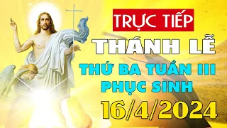 Thánh lễ trực tuyến hôm nay 4:00:AM Thứ Ba ngày 16/4/2024 - Trực tiếp Thánh lễ hôm nay | TLTT