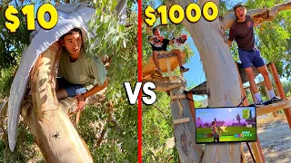 $10 VS $1000 TREE HOUSE! *BUDGET CHALLENGE*