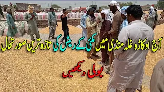 Today corn Prices In Ghala Mandi Okara 2023 || Makki ke rates || maize price