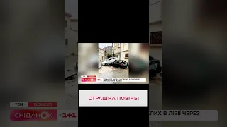 🌊 ПРОРВАЛО ДАМБИ! У Лівії тисячі людей загинули через шторм "Деніел"!