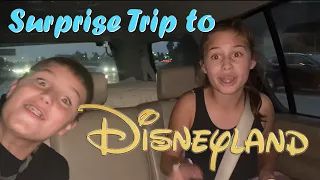 Surprise Trip to DISNEYLAND Part 1 - The Kids FREAK OUT!