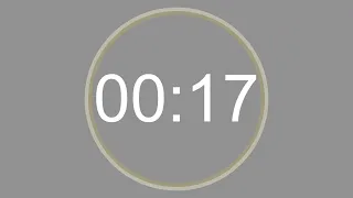 17 SECONDS - 4K - COUNTDOWN IN REVERSE - SECOND TIMER -