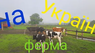 приїхав НА Українську Ферму!!)