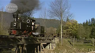 Waldbahnen in Rumänien