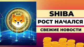 ШИБА ИНУ (SHIBA INU) РОСТ НАЧАЛСЯ!