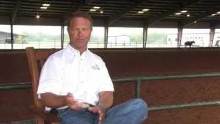 Master Snapper - Undefeated Reining Horse
