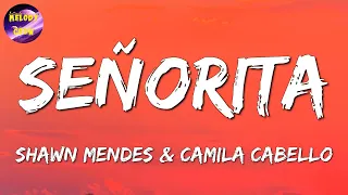 🎶 Shawn Mendes, Camila Cabello - Señorita || Kali Uchis, NewJeans, Céline Dion (Mix)