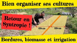 Bien organiser ses cultures. Bordures, biomasse et irrigation... Retour en Syntropie !