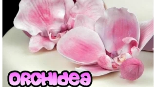 Orchidea in pasta di zucchero senza stampini