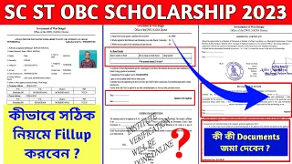 Oasis Scholarship Form Fillup 2023-24 | SC ST OBC Scholarship 2023 |