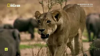 CAZADOR de GIGANTES - Documental