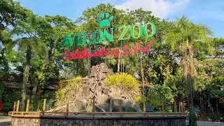 Avilon Zoo Walking Tour 2023 Update Family Fun Adventure at Rodriguez Rizal Philippines