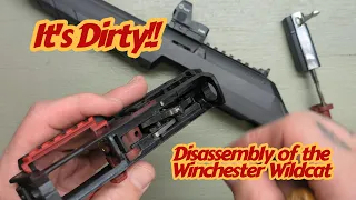 Taking down the Winchester Wildcat .22LR for cleaning and maintenance