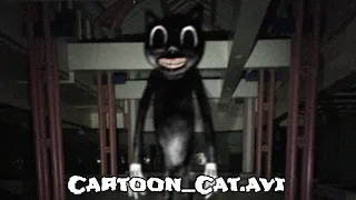 Cartoon_Cat.avi