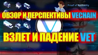 Падение VeChain | Есть ли ПЕРСПЕКТИВЫ у VET? | Обзор VeChain | Новости VET