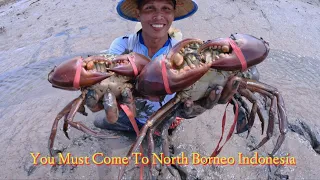 Traditional Fishermen Hunt Giant Mud Crab When The Water Has Receded