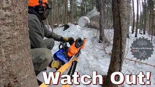 Winch Cable Snaps While Pulling Down Hung Up Trees