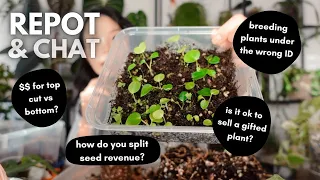 Let's talk plant community etiquette 🤔 repot & chat