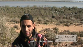 CEPF - Monitoring of waterbirds in North Africa for the conservation of wetlands