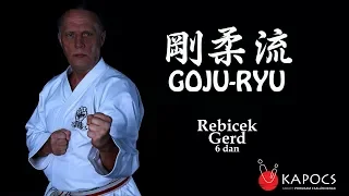 Goju-ryu karate bázistechnikák (goju-ryu kihon waza) - Kapocs Sportprogram