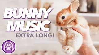 EXTRA LONG Relaxing Music for Rabbits - Tried and Tested by 5 Million Bunnies WORLDWIDE