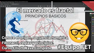 Curso Elliott Wave (Principios Básicos: Impulso, fractalidad de mercado, reglas) Equipo FET