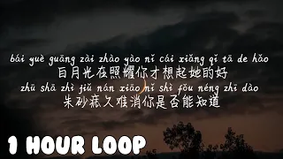 1 HOUR LOOP/一小时循环/1시간반복【白月光与朱砂痣-大籽】BAI YUE GUANG HE ZHU SHA ZHI-DA ZI/Pinyin Lyrics, 拼音歌词,병음가사