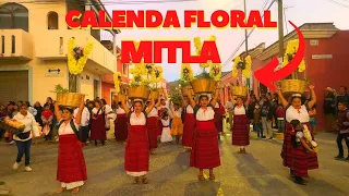 CALENDA FLORAL - Mitla - FIESTA PATRONAL - Calendas Oaxaca - Solo en Mexico 🇲🇽