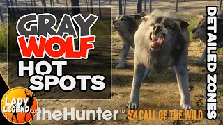 ALL NEW Gray Wolf HOTSPOTS in Yukon Since the Update!!! - Call of the Wild 2022/23